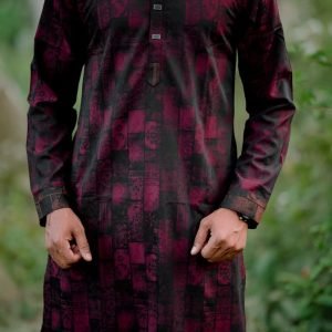 Panjabi for Eid & Casual Wear